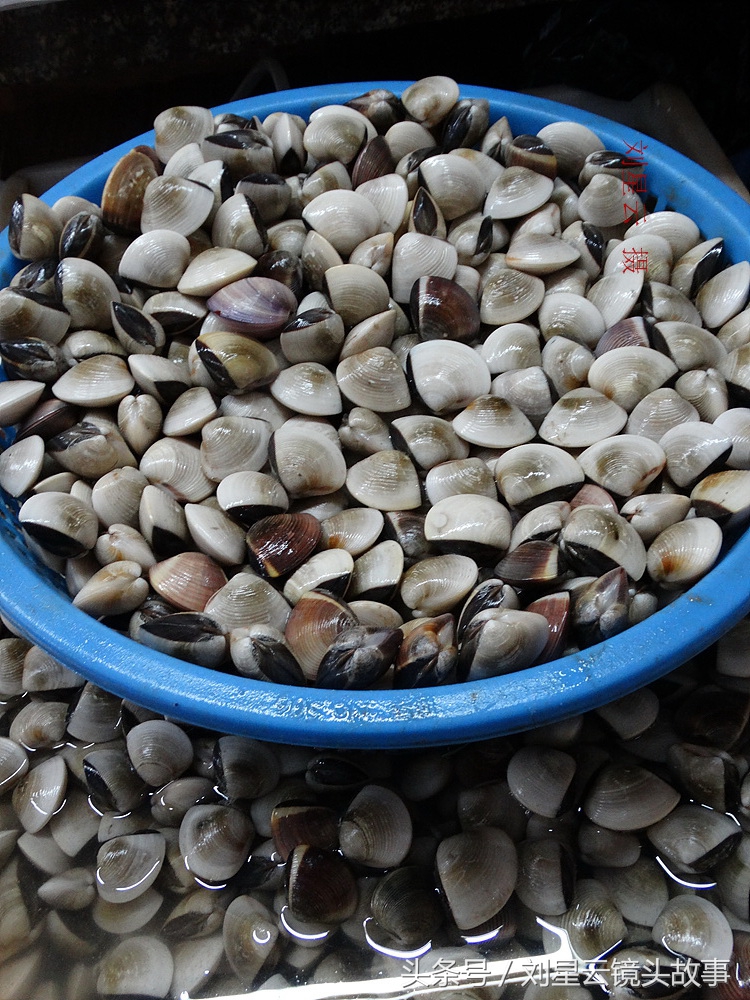 三亚哪里海鲜市场的品种多,三亚海鲜品种大全及介绍