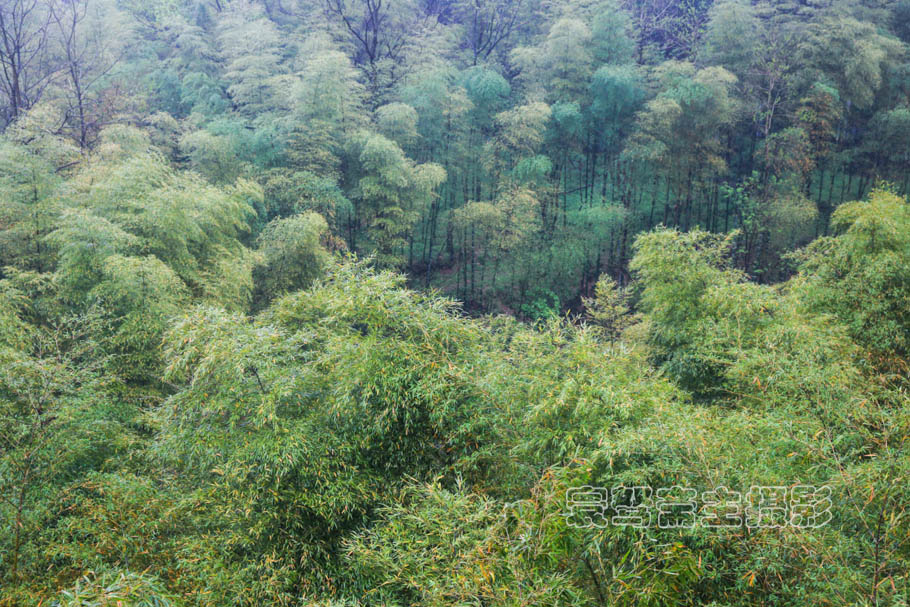 溧阳天目湖御水温泉水质,溧阳御水温泉竹溪谷