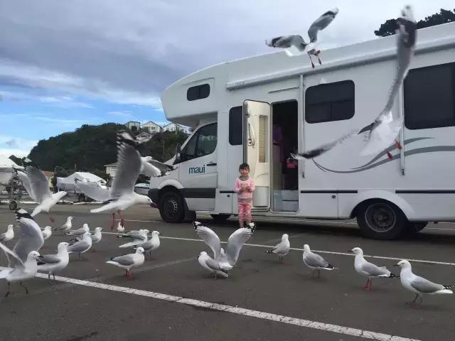 新西兰一家三口花费多少,一家五口自驾新西兰旅游