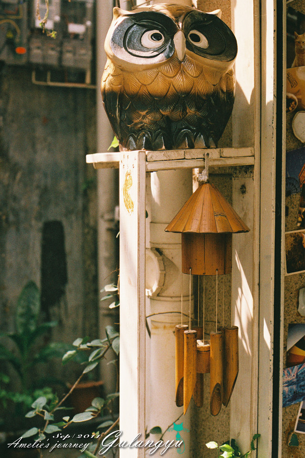 鼓浪屿旅行攻略大全,鼓浪屿旅行攻略大全最新