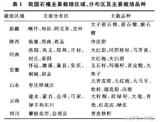 高产突尼斯石榴苗,石榴高产栽培技术要点