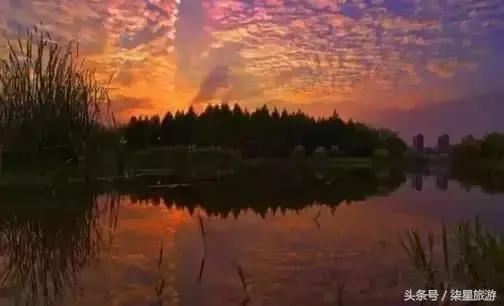 上海周末一个人的好去处,夏天上海周末旅游攻略