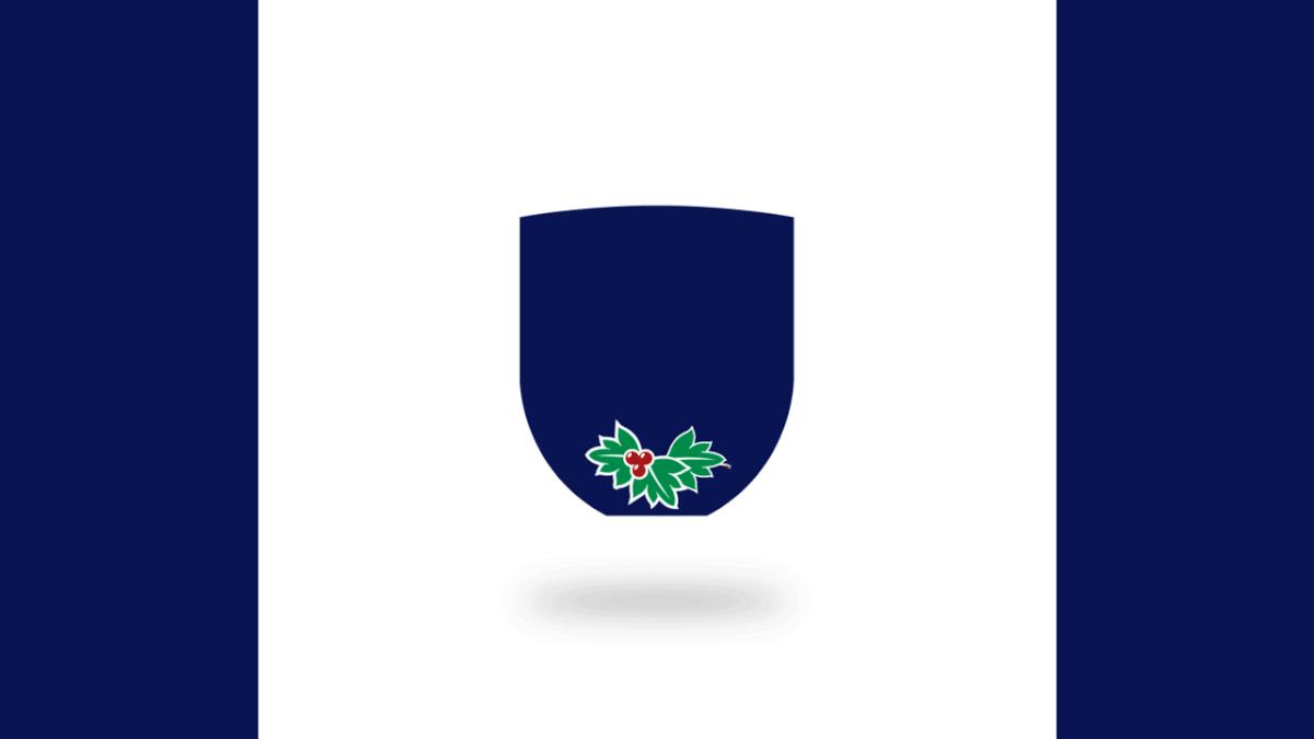 13-14英超队徽宣传动画,英超最新logo图案