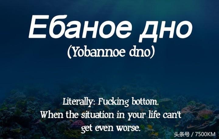 外国的骂人英文怎么说,国外骂人英文