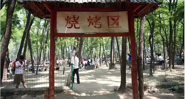 济南春游的好地方推荐,济南适合春游的地方