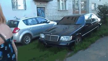 蒲公英不是晒干就能喝,真正的蒲公英可以吃吗