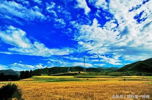 成都到稻城亚丁包车旅游,成都到稻城亚丁租车收费标准