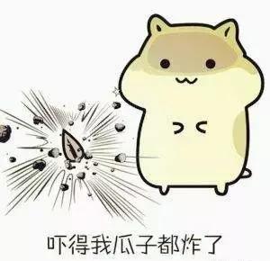 韩剧吻戏都很少吗,为什么韩剧的吻戏那么真实