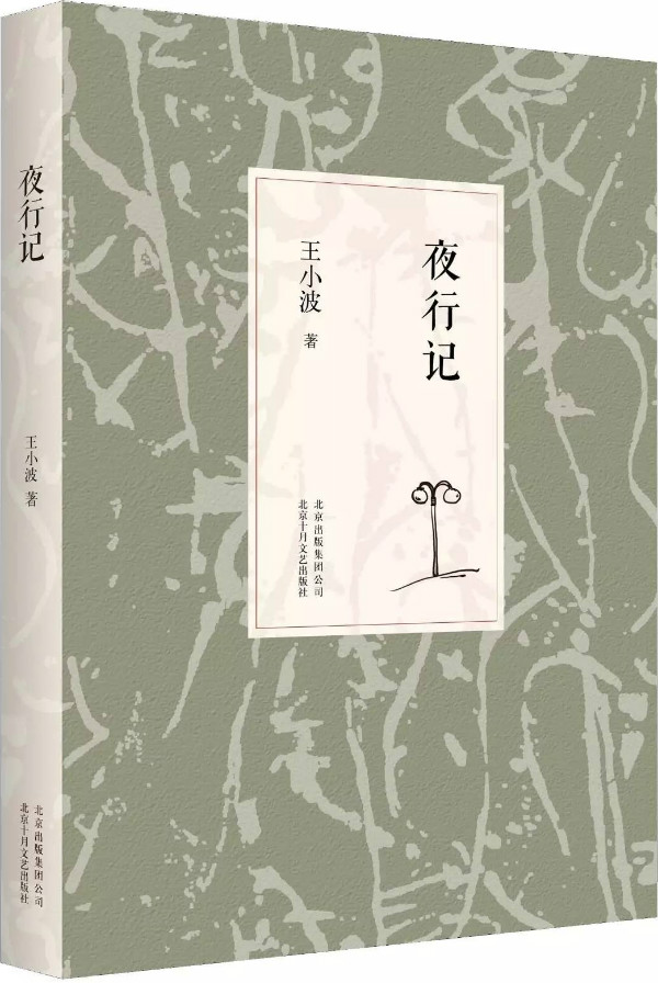 王小波逝世20周年|他是如此独特,无人可以行走在他左右