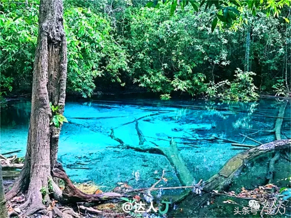 显然不适合玩婚内出轨!全泰国最大的泳池原来在这里