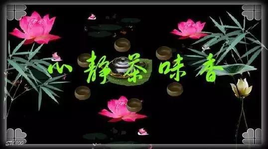 喝茶到底要不要繁杂的茶道,喝茶人必知的十种茶道行话