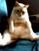 老打嗝有什么小偏方吗,打嗝偏方大全集