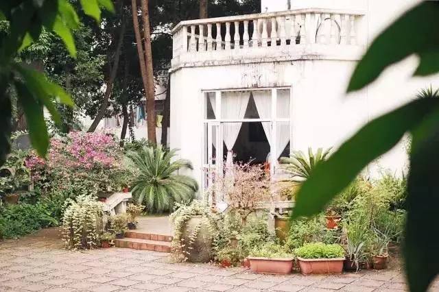 太多人读得懂风花雪月,读懂风花雪月却走不出沧海桑田