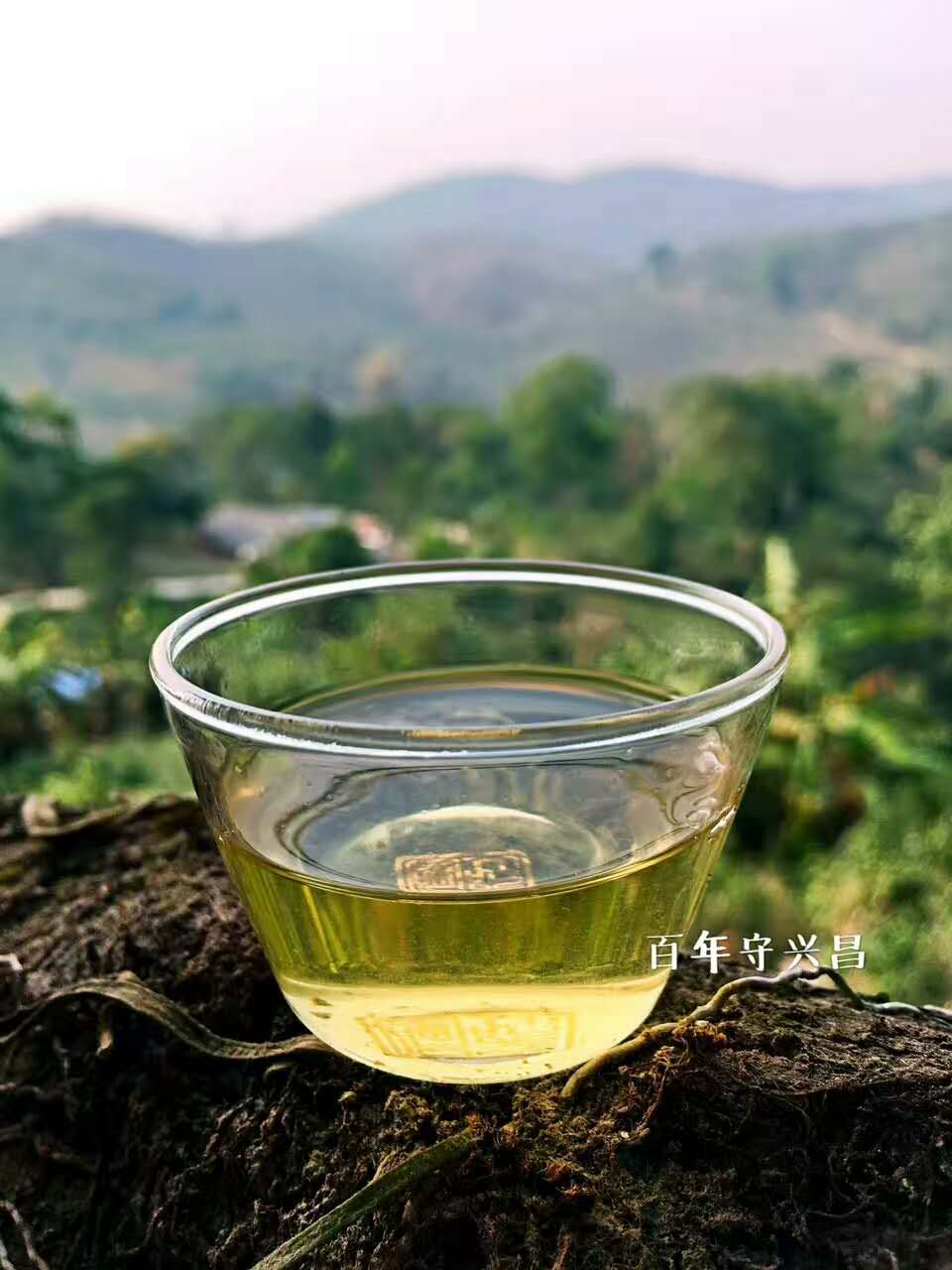 普洱茶喝起来舌根发麻,喝普洱茶舌头发麻是什么原因