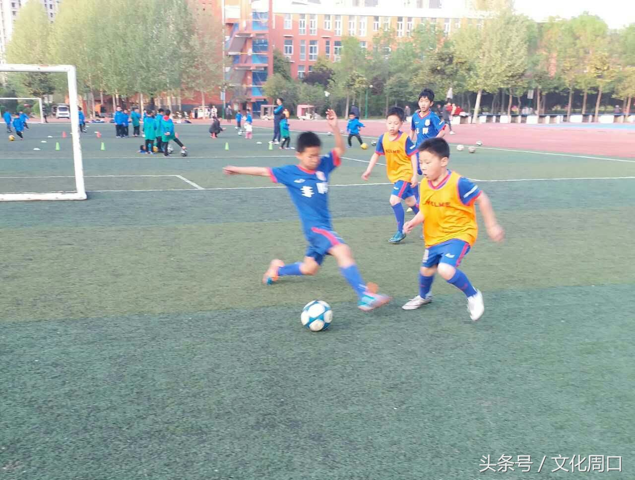 视觉周口｜正在集训的周口足球小子，看看有您认识没