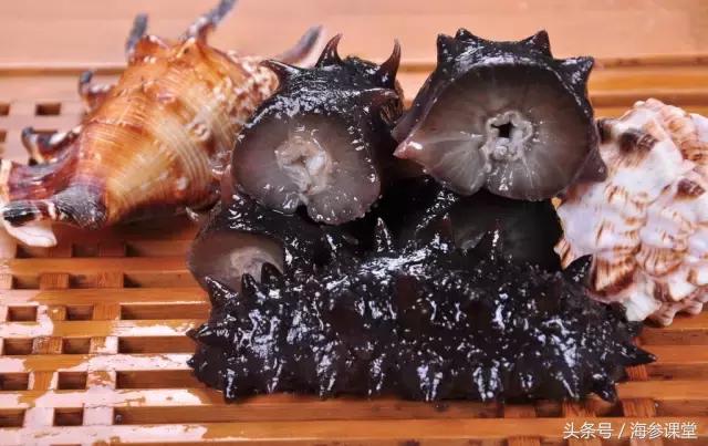 买正宗海参的分享,买海参是鲜参还是加工好的好