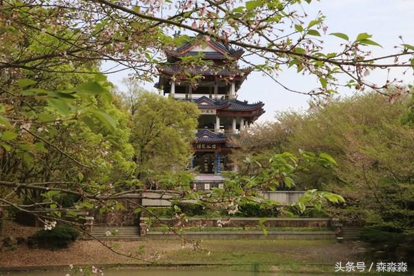 游无锡美景,游无锡太湖美景