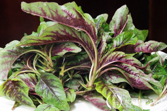 也许你见过,但是你未必能叫出来的野菜,药用价值相当的高