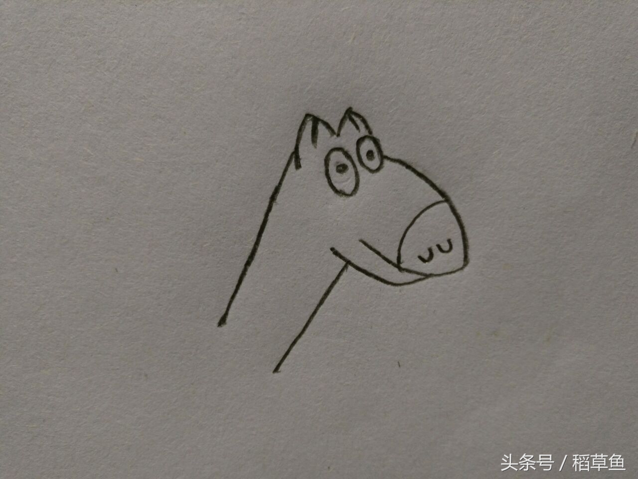 12生肖完整图片马的简笔画,12生肖中的狗简笔画怎么画