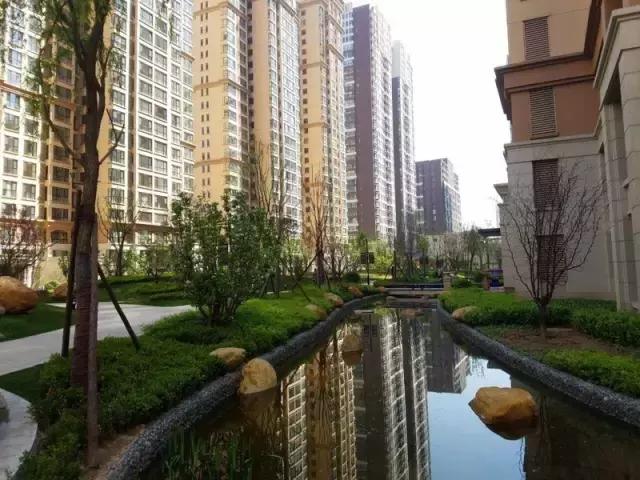 看楼王的风采，星河盛世三百多平开工大吉