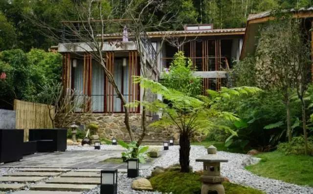 没有wifi看不起电影,没有wifi的人会怎么样