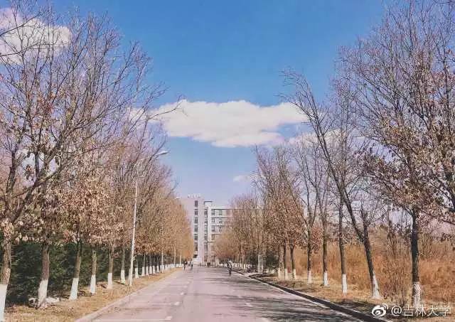 林志玲360无死角是真的美,全球最美360无死角的美女