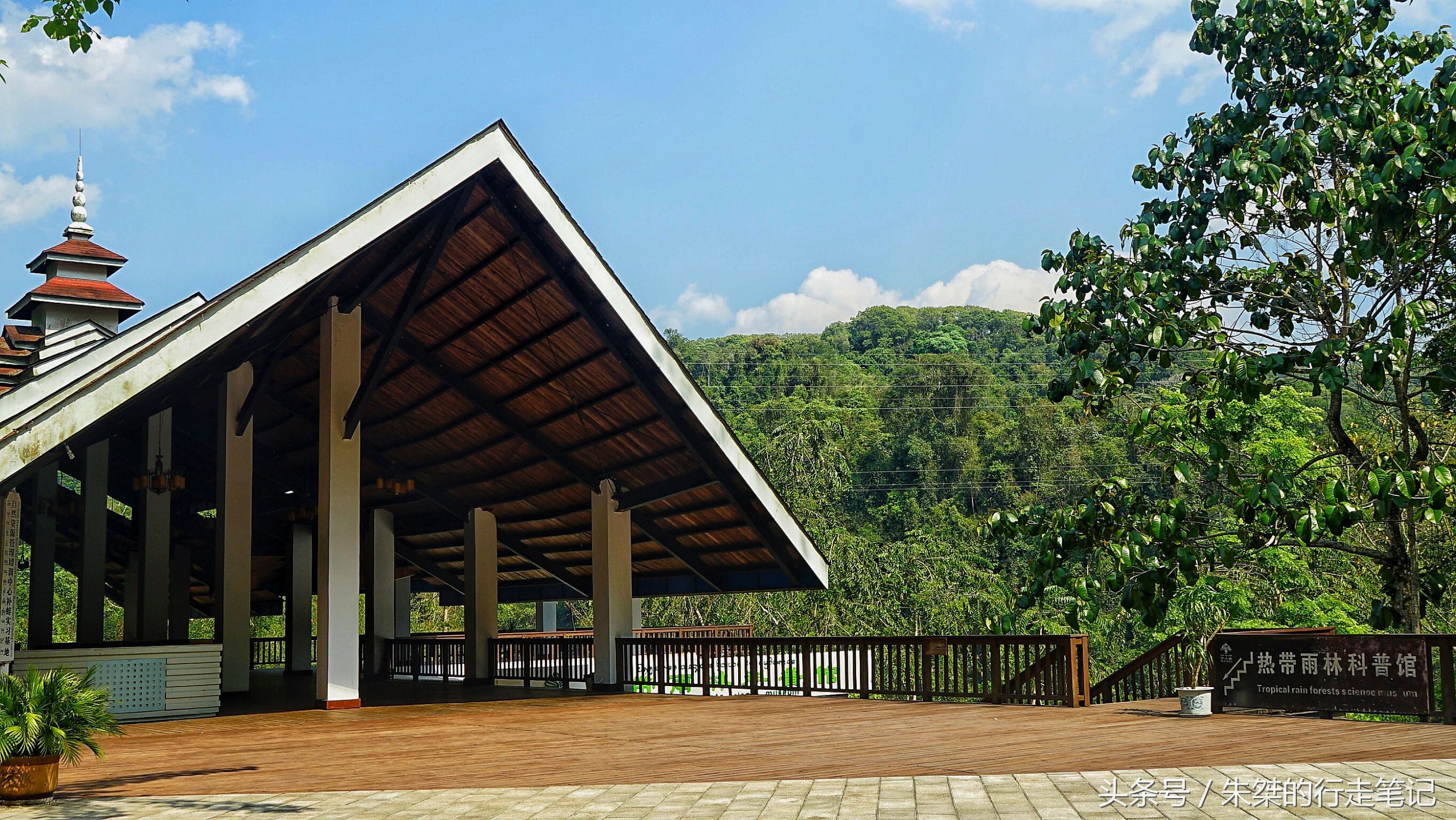 版纳颈椎治疗,西双版纳治疗颈椎好的按摩仪器