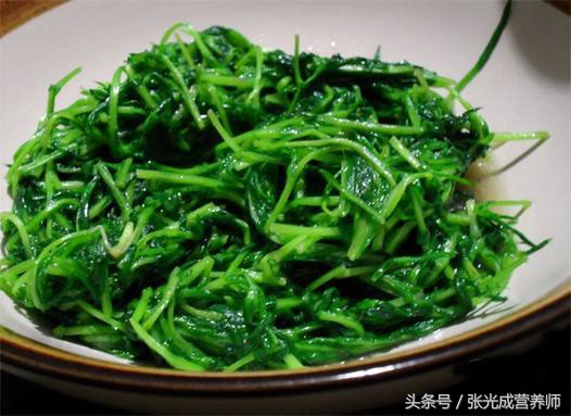 松柳苗毒性大吗能吃吗,松柳苗的毒性和危害