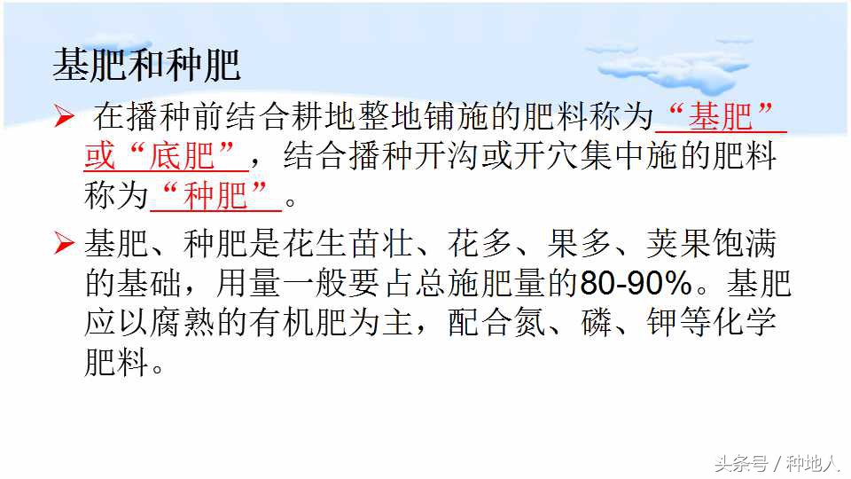 马上开始播种花生,快要种花生了