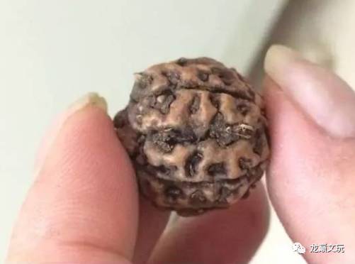 变形金刚假的冒牌货,金刚如何辨别品种和品相