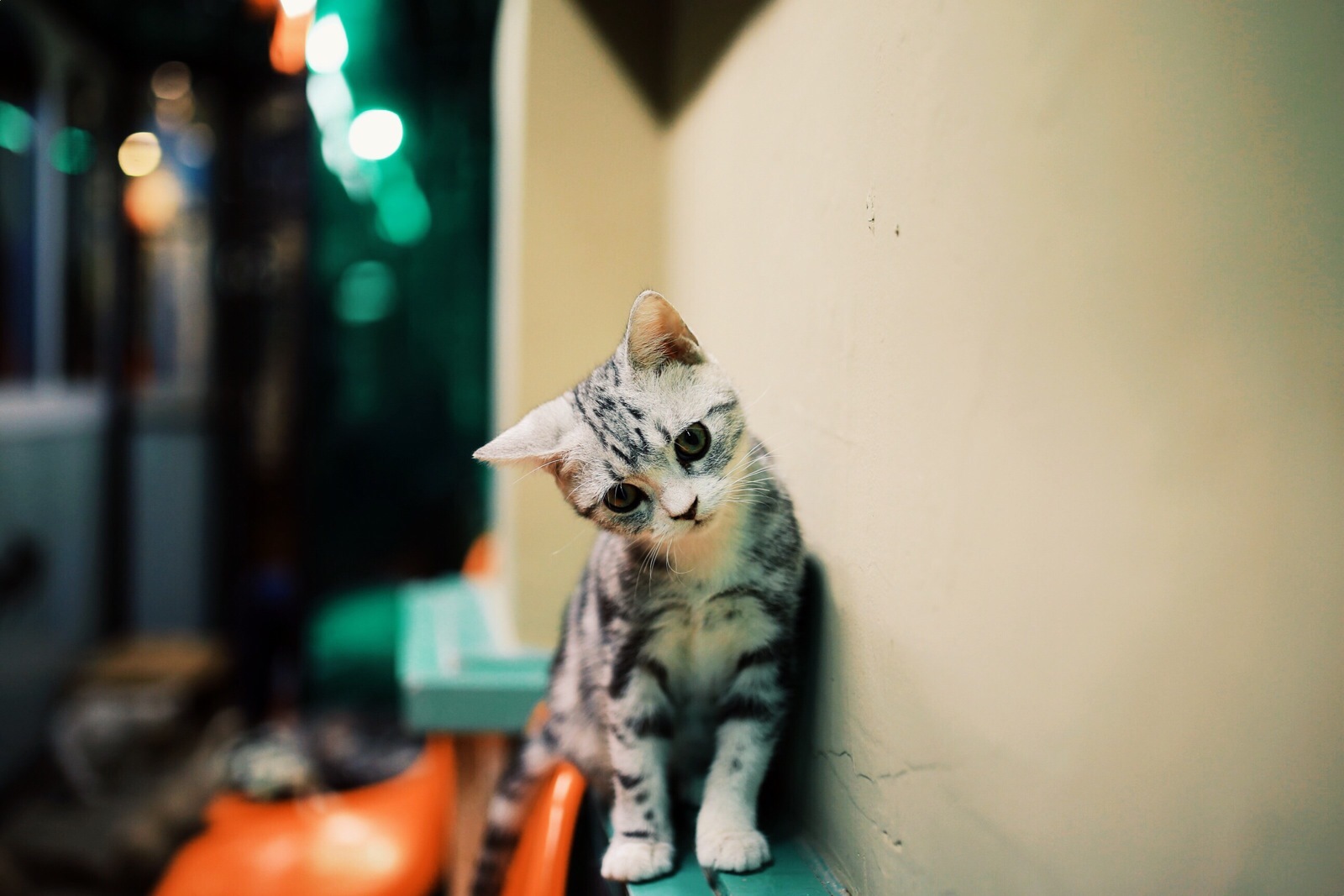 厦门最有年味的一条街,厦门最出名的一条街