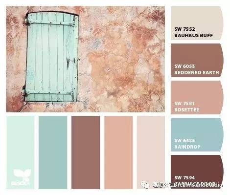 beauty服装图片,beauty白色的衣服推荐