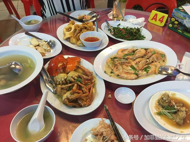 马来西亚亚庇到美人鱼岛,亚庇美人鱼岛游记