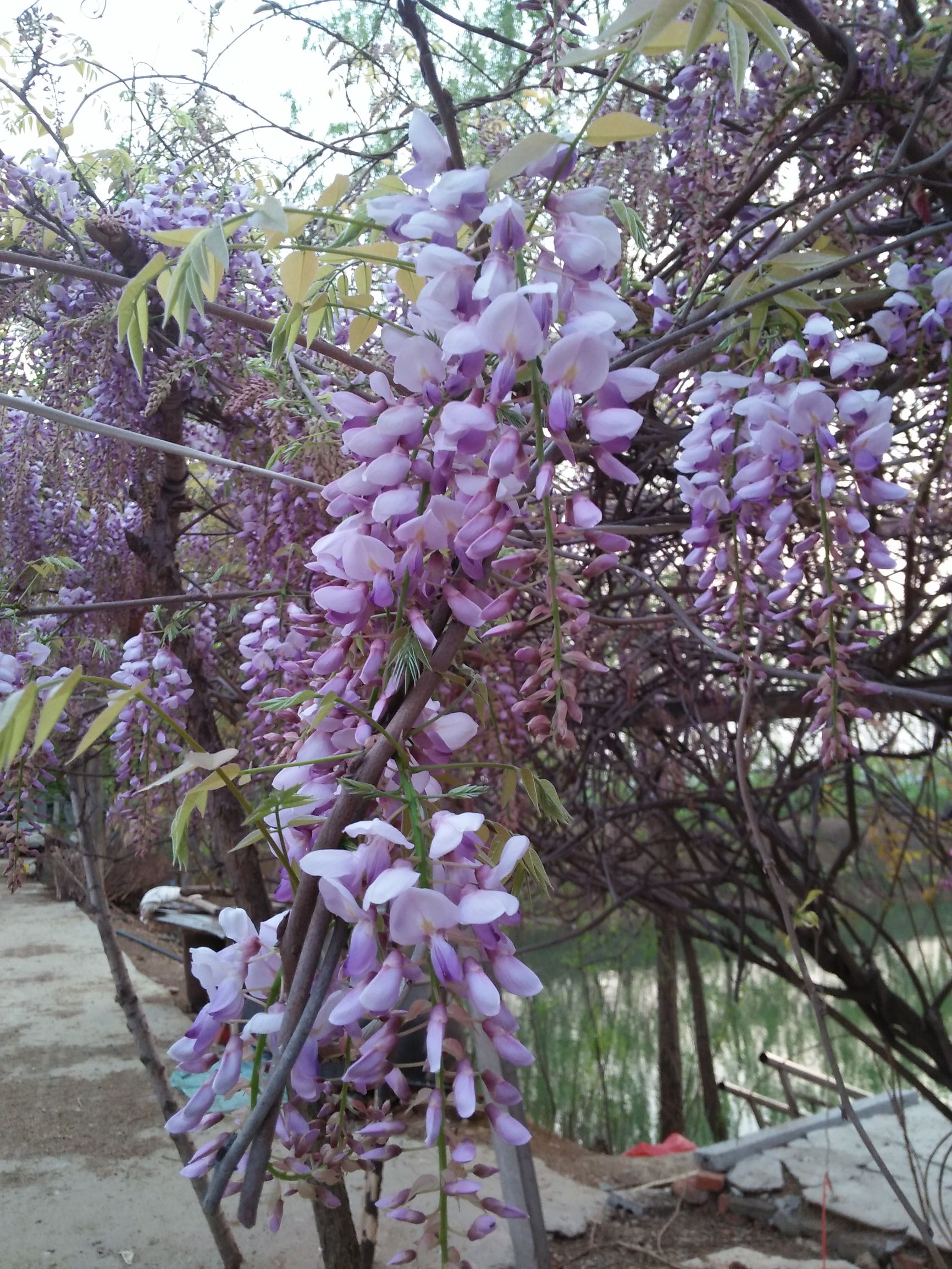 头条号过新手期的条件,头条号新手期通过标准