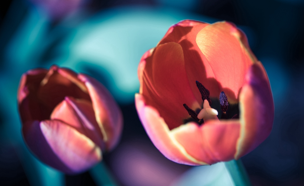 尼康85f1.8d夜景人像作品,尼康d5100501.8拍风景