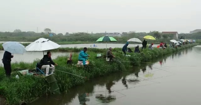 「二十八」小药篇：氨基酸丰富饵料营养，增加适口性
