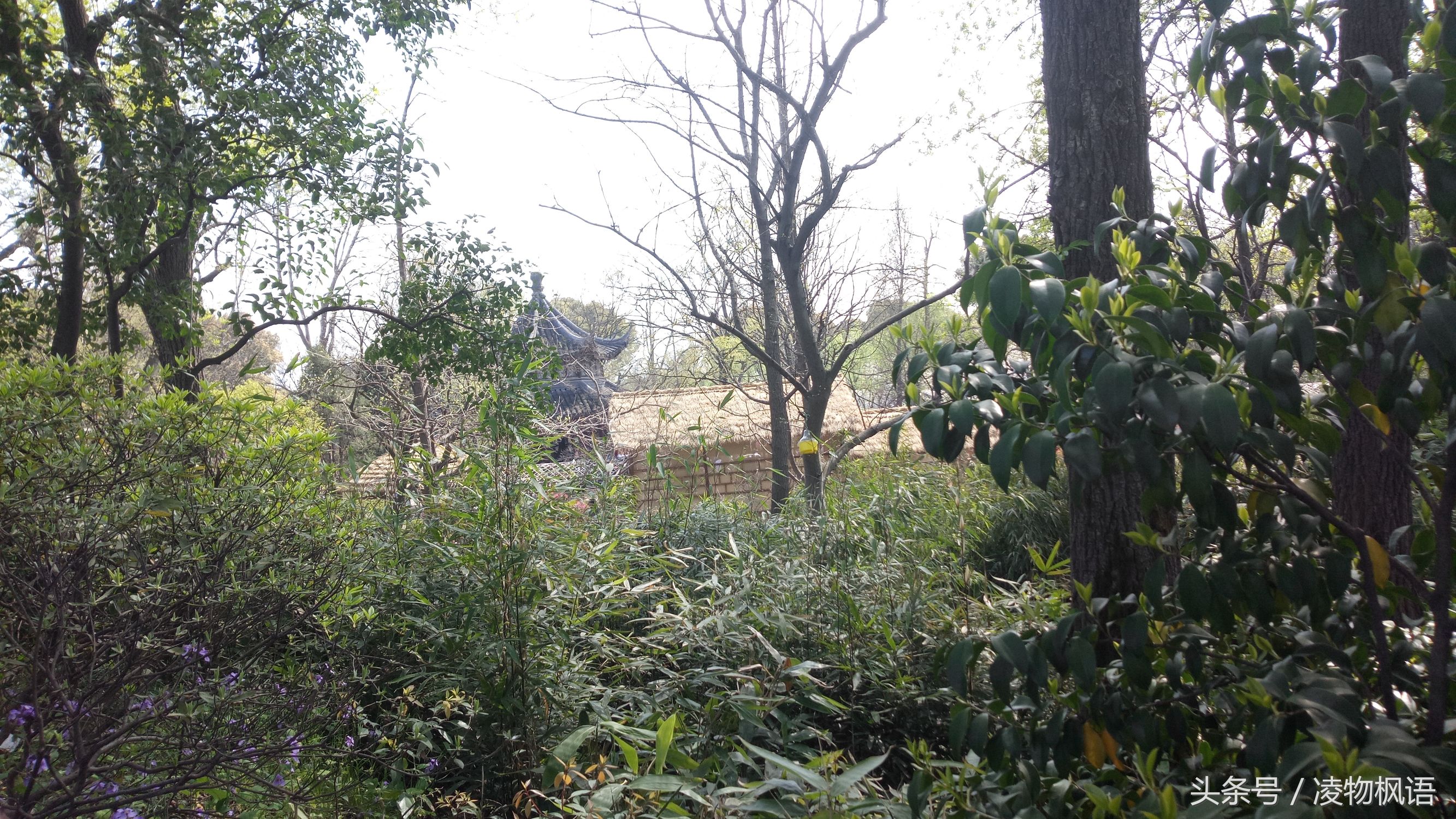 苏州拙政园景点讲解视频大全,苏州拙政园属于哪个区