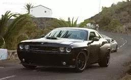 快速了解速8,速8内容简介