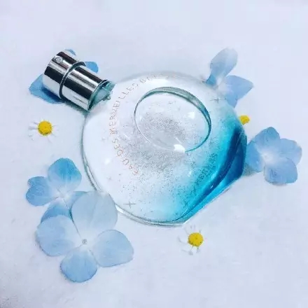 爱马仕香奈儿迪奥哪个好闻,爱马仕橙迪奥