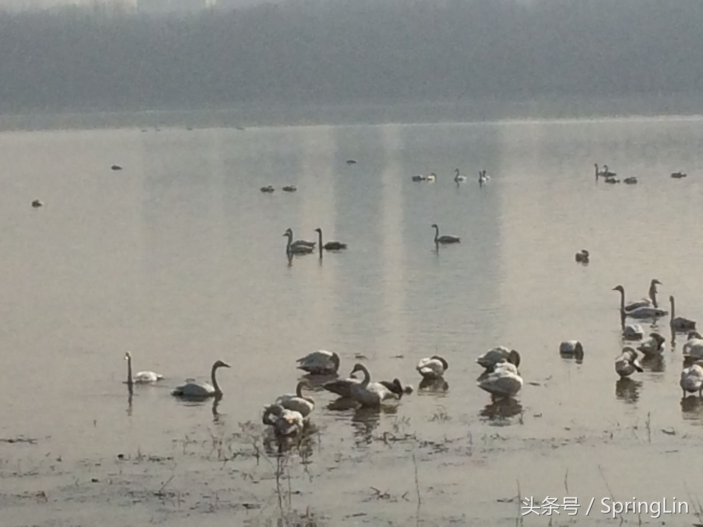 三门峡豫西大峡谷旅游攻略,豫西三门峡全景图