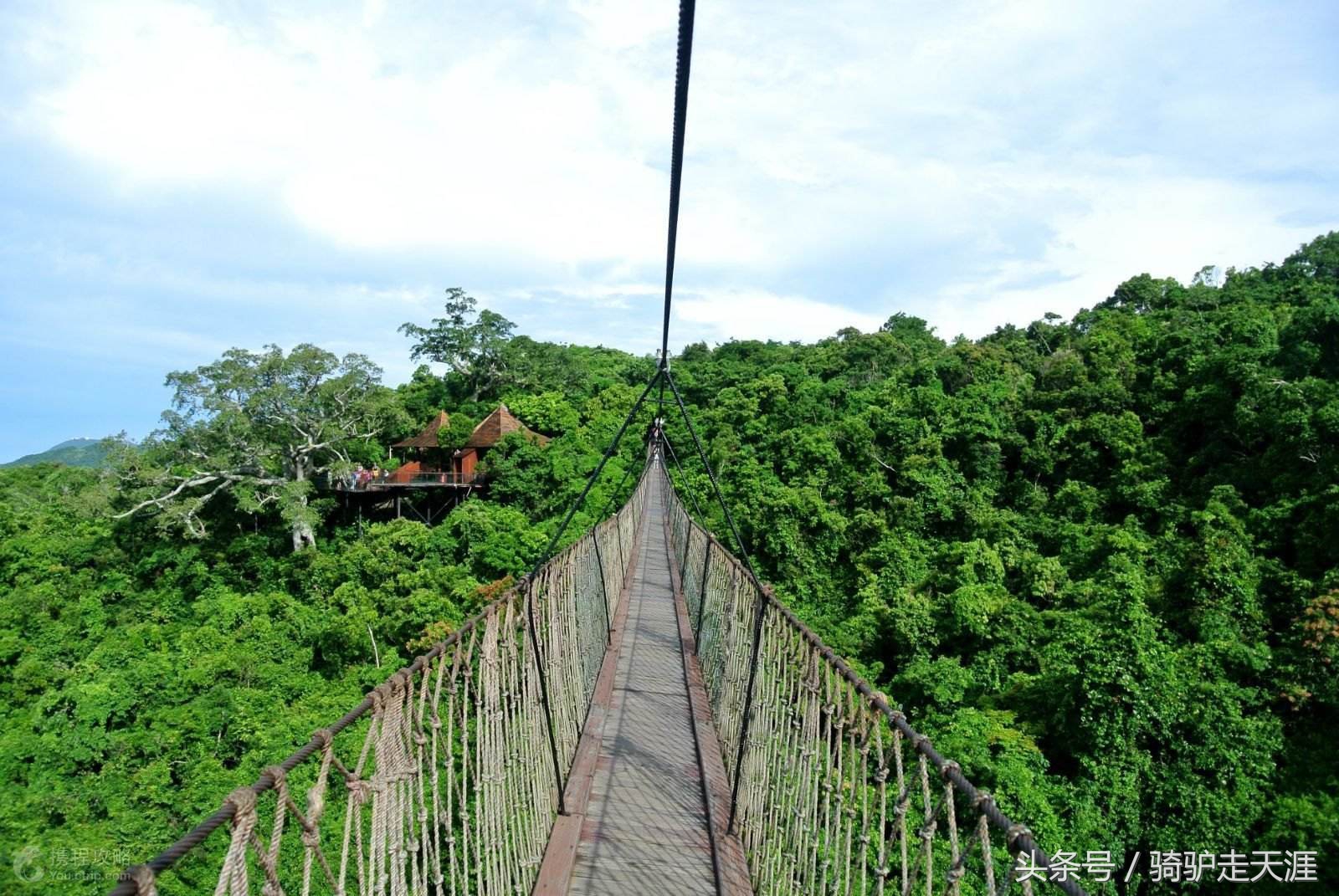 骑驴走天涯完整版,骑驴上三亚