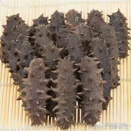 买正宗海参的分享,买海参是鲜参还是加工好的好