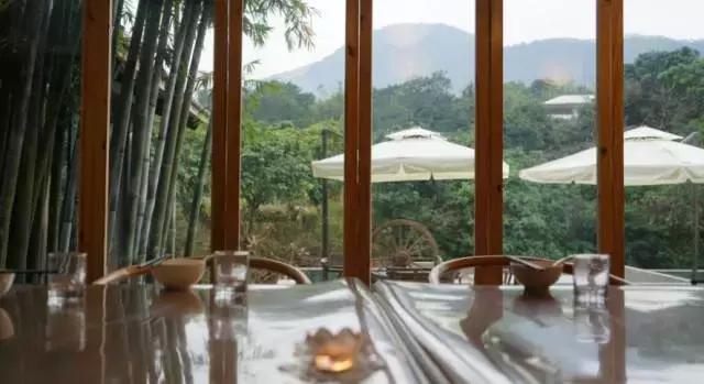 没有wifi看不起电影,没有wifi的人会怎么样