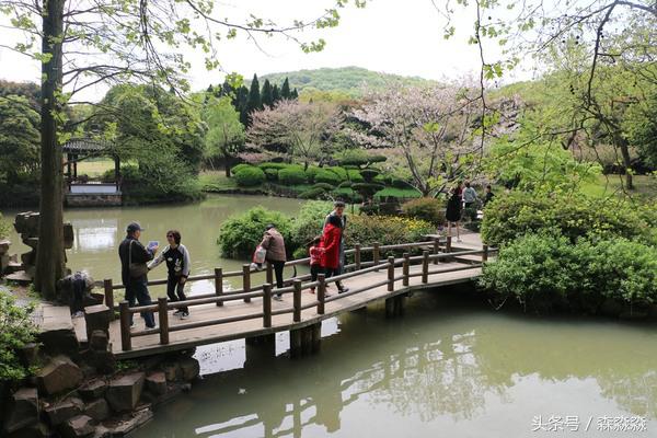 游无锡美景,游无锡太湖美景
