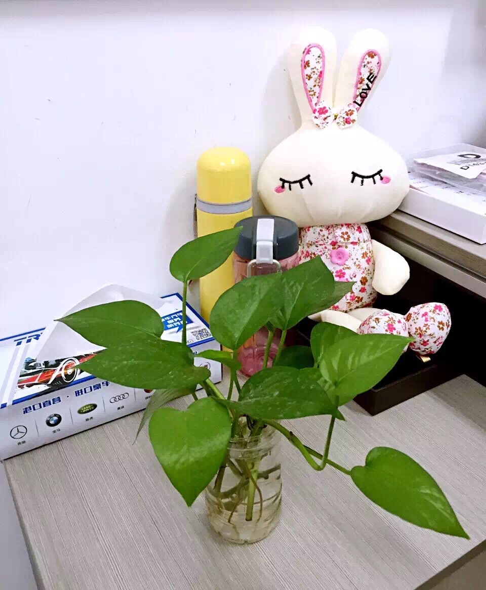 天合汽车之星名车店最初的模样