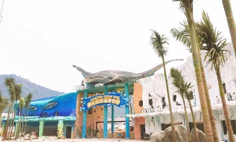 重庆适合小盆友去玩的海洋公园,重庆适合成年人玩的海洋公园推荐