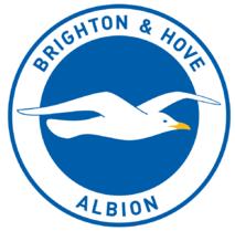 布莱顿升级之路,布莱顿有前途吗