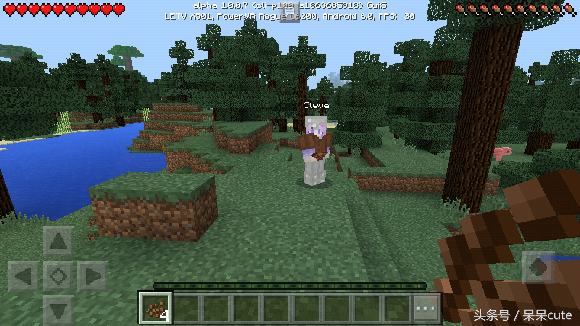 我的世界怎么跟朋友联机教程,我的世界联机技巧