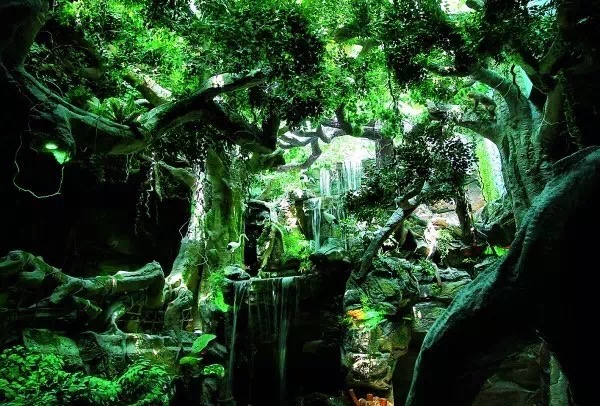 重庆适合小盆友去玩的海洋公园,重庆适合成年人玩的海洋公园推荐