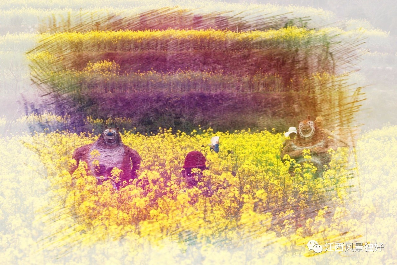 婺源旅游攻略300块钱,自驾游婺源两天旅游攻略及费用